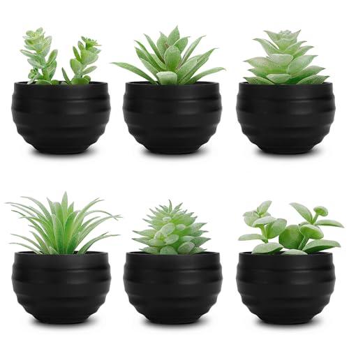 Der Rose Set of 6 Succulents Plants Artificial in Pots Small Fake Plants for Halloween Decorations Bedroom Living Room Office Shelf Black Bathroom Decor