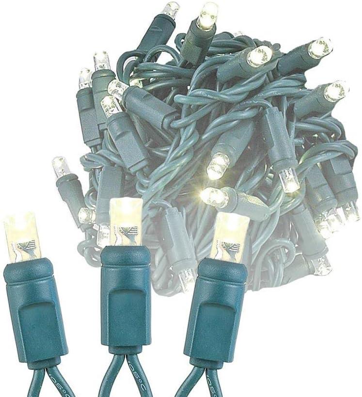 Novelty Lights 50 Light LED Twinkle Christmas LED Mini Light Set, Outdoor Fairy Wedding String Lights, Warm White, Green Wire, 25 Feet