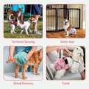 Washable Reusable Female Dog Diapers(5 Pack) Large Doggie Puppy & Doggy Dog Diaper, Period Panties in Heat Large Butterflies and Dragonflies