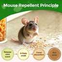 Rodent Mouse Repellent 12 Pack, Peppermint Oil Rodent Repellent Balls, Safe for Family & Pets, Indoor & Outdoor Moth Balls for Mice Rat Roach Spider Ant Squirrel, for Home Garage Basement Kitchen