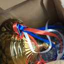 Liliaafar Large Trophy Cup Bulk Gold Trophy Award for Sports Cup Championships Basketball Competitions Tournaments Ceremony Celebration Party Gift (6 Pcs,16 x 7.9 Inch)