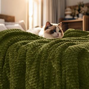 PHF Ultra Soft Flannel Fleece Blanket Queen Size, Lightweight 3D Jacquard Fleece Blanket, No Shedding, No Pilling, Luxury 340GSM Aesthetic Fluffy Cozy for Bed Room Decor, 90"x90", Olive Green (Queen(90"x90"))