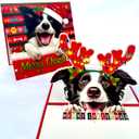 Border Collie Christmas Pop-Up Card 3D Holiday Greeting Card Featuring Adorable Border Collie Dog with Festive Reindeer Antlers, Perfect for Dog Lovers, Unique Card for Friends and Family