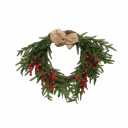 25 Inch Real Touch Norfolk Pine Christmas Wreath for Front Door, Large Expandable Artificial Holiday Wreath for Indoor Outdoor Window Wall Porch Decor