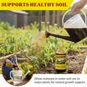 2 x Plantation Molasses, Blackstrap, 15 Ounce (15 Fl Oz (Pack of 1))