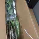 Bailikang Artificial Ficus Tree Indoor 5ft, Large Potted Faux Tree with Realistic Silk Leaves & Trunk for Home Office, Living Room Corner Decor