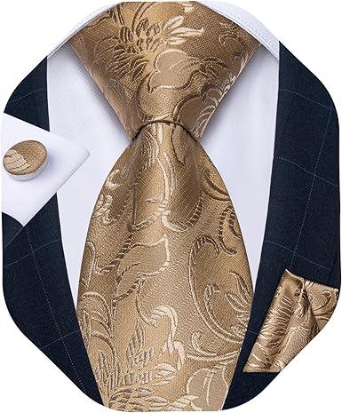 DiBanGu Mens Paisley Tie Sets Silk Jacquard Woven Floral Necktie and Pocket Square Cufflinks Wedding Business Party
