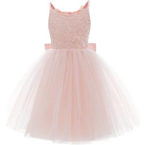 PLwedding Flower Girls Lace Tulle Ball Gowns First Communion Dresses (2-T,  Pink)