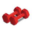 RBX Live Life Active 20 Lb Pair Hex Dumbbells