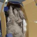 BEDELITE Faux Fur Throw Blanket for Couch, Decorative Tie-Dye Taupe Plush Bubble Blanket - Super Soft & Cozy Fluffy Faux Rabbit Fur Blanket for Women Gift, 50x60 Inches