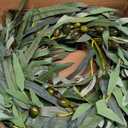 Olive Wreath for Front Door 22 inch, Greenery All Season Wreath with Olive Leaf Fruit, Home Decoration for Outdoor Living Room Indoor Wall and Outside Summer All Season Wedding