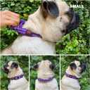 Tuff Pupper Heavy Duty Dog Collar with Handle | Ballistic Nylon Heavy Duty Collar | Padded Reflective Dog Collar with Adjustable Stainless Steel Hardware | Convenient Sizing for All Breeds Small