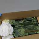 Weldomcor Artificial Greenery Stems with 7 Kinds of Fake Plants Eucalyptus Leaves White Rose Flowers Bouquets Mixed Bulk Faux DIY Floral Arrangement for Wedding Table Centerpieces Home Decor 72PCS