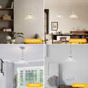  1 Piece Brushed Nickel Chandelier Light Fixtures with Crystal Glass Shade,Brushed Nickel Finish Pendant Light,Hanging Light for Dining Room,Hallway,Living Room,Bedroom