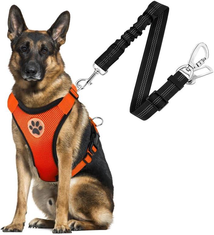SlowTon Dog Seat Belt Harness for Car, Dog Car Harness Adjustable Mesh Breathable & Dog Seatbelt Safety Tether with Elastic Bungee for Small Medium Large Pets(Orange, Double Clip, Large)