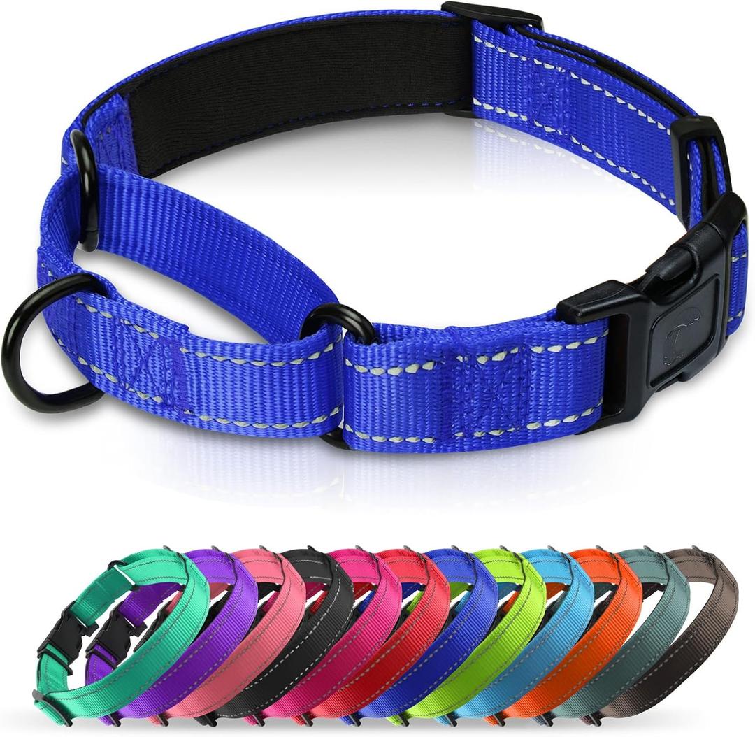 Martingale Collar for Dogs with Quick Release Buckle, Reflective Soft Padded & Escape Proof, Adjustable Nylon Dog Collars for Training & Daily Walking (Royal Blue,L) (L:width 1"neck 18.5-24")