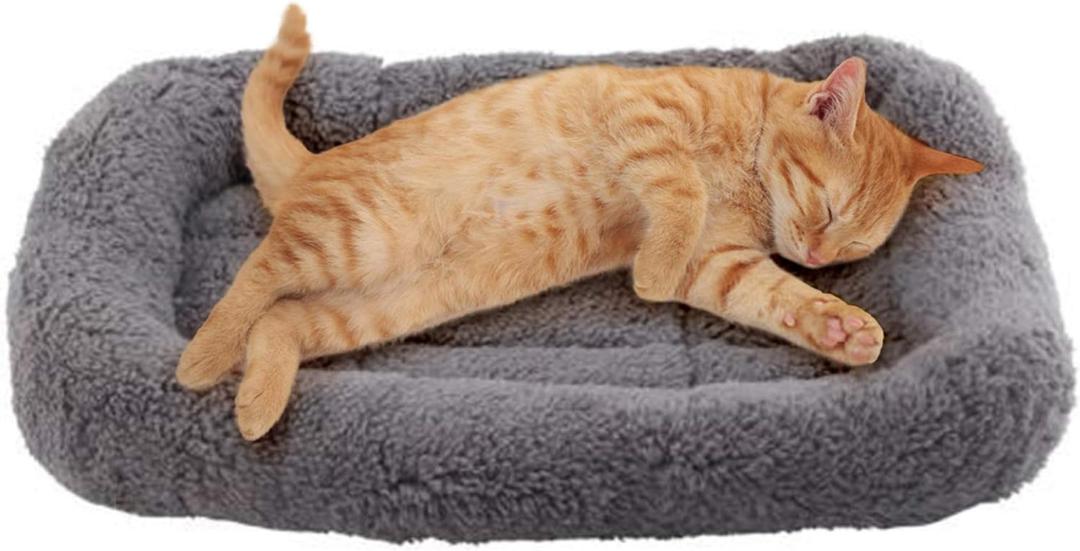 Enjoying Plush Cat Bed Mat 10" x 15" Pet Cushion With Pillow for Puppy Curling Sleep, Pad for Carrier/Crate, Dog Self-Warm Bed, Antiskid Bottom, Small