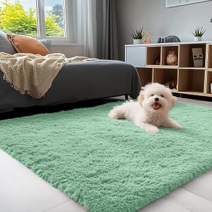 OLANLY 3x5 Machine Washable Small Bedside Rug, Soft Fluffy Shaggy Rugs for Living Room, Bedroom, Indoor Floor Carpet for Kids Girls and Boys, Preppy Dorms, Nursery, Home Decor Aesthetic, Mint Green