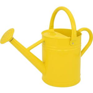 Metal Watering Can for Outdoor Plants, Galvanized Steel Watering Can with Removable spout, 1 Gallon,Perfect Home & Garden Décor Yellow