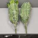 Artificial Boston Fern Bush- Set of 2 Large Artificial Ferns for Outdoors, 45Inch Large Faux Ferns, Suitable for Office & Living Room Decor, 55Branches for Each Bouquet