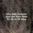 ADAMS Plus Flea & Tick Shampoo with Precor for Dogs, Cats, Puppies & Kittens, Flea Shampoo to Treat Flea Infestations, Kills Ticks, Fleas, Flea Eggs & Lice, Cleans and Conditions Coat, 24 Ounces