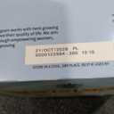 Twinings Pure Camomile Herbal Tea Individually Wrapped Bags, 100 Count (Pack of 1), Delicate for Relaxation, Naturally Caffeine-Free, Enjoy Hot or Iced, 100 Teabags BB 21 OCT 2028