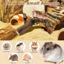 PINVNBY 2 PCS Wooden Hamster Climbing Branches 5.9 in Natural Grapevine Syrian Hamster Chewing Toys Small Animal Habitat Decor Accessories for Gerbils Mice Rat and Dwarf Pets