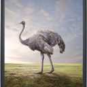 LTYHHK 22x24 Picture Frames Solid Wood 22x24 Photo Frame 22x24Poster Frames 22x24Diamond Painting Frames Black (L23B2224)