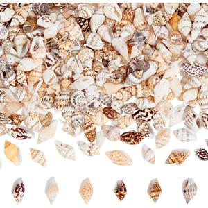 PH PandaHall 1400-1500pcs Tiny Sea Shells 7-12mm Tiny Crushed Shells Miniature Shell NO Hole Seashells Ocean Spiral Seashells for Resin Crafting Candle Home Party Wedding Fish Tank Vase Filler
