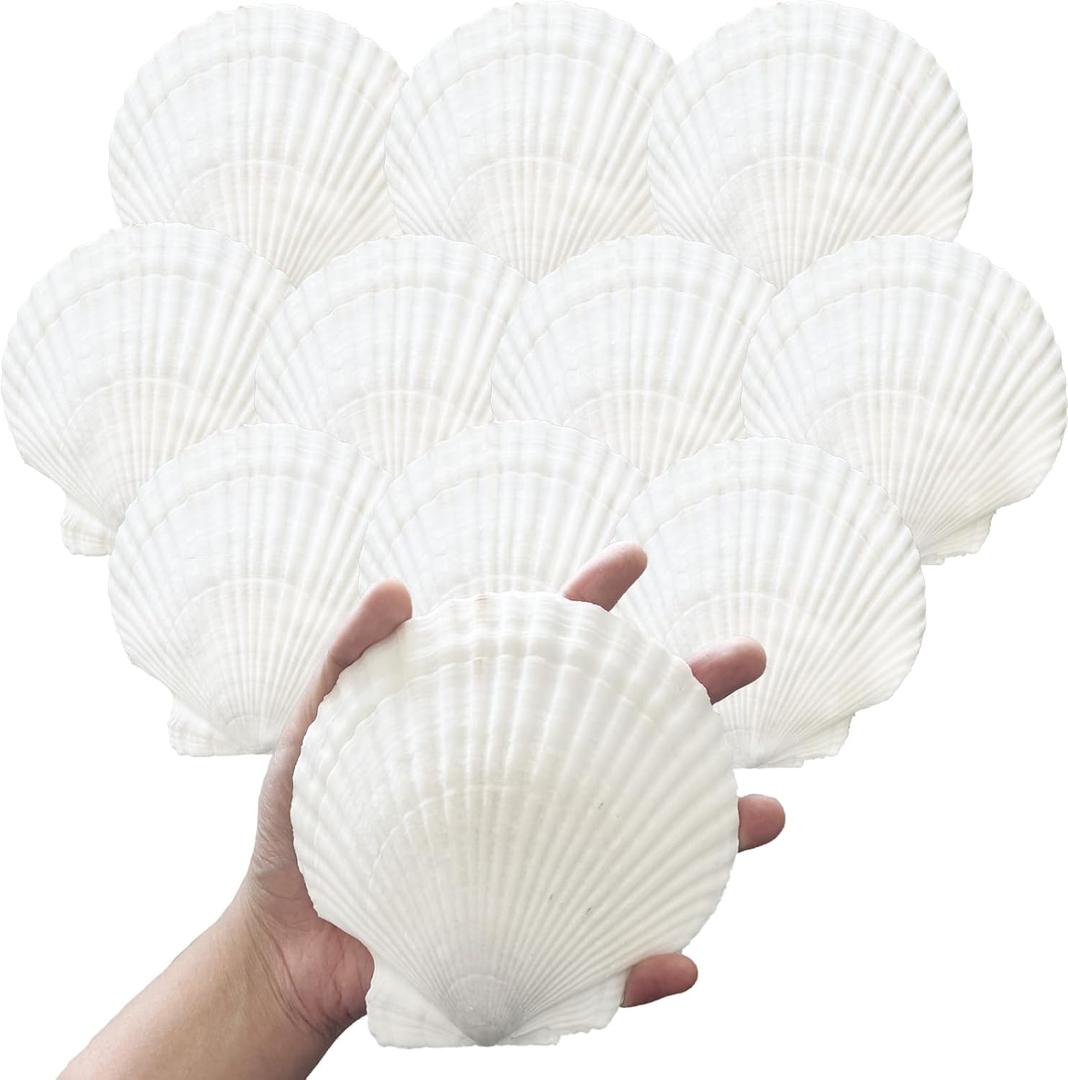 10PCS 4-5 inch Large Sea Shells White Scallop Shells for Crafts Baking Cooking Serving Food, Natural Seashells for DIY Crafts Seashell Beach Decorations for Ocean Themed Parties and Home Decor