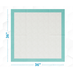 Extra Large Disposable Incontinence Bed Pad 10 Count (Size 36 x 36 Inch) - Hospital Underpad with Incontinence Protection for Adult, Child, or Pets - Absorbent Waterproof Chux by BrightCare
