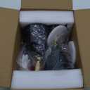 ClanKin Wall Sconces Lighting Fixture Set of 2, Bedside Wall Mounted Reading Lamp with On-Off Switch for Industrial Bedroom, Bathroom Hallway Living Room(2Pack-Black with Swtich)