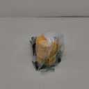 SSR-610-54 Helper Spring Kit Fit for Toyota Tundra 2000-2021 Tacoma 2002-2015 Nissan Frontier 2005-2015 Titan 2005-2015 Rear Suspension Air Auxiliary Helper Springs 2-Pack (Left and Right)