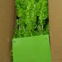 6FT Whimsical Christmas Tree Prelit Curved Shape Artificial Pencil Xmas Tree with Metal Base for Indoor Home Decor (Lime Green)