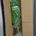 UPBUD 28" Artificial Palm Tree, Tall Fake Plant, Faux Tropical Areca Tree