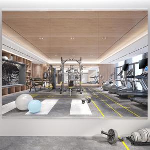 65X24 3Pack Large Home Gym Mirror, Frameless Tempered Glass Dance Wall Mounted Mirror for Home, Yoga, Dancing, Studio, Living Room