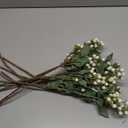 Akozon 10PCS Artificial Berries Artificial Pip Berry Stems Decoration for Living Room Office White, Multifunctional Accessory for Home Use (White)