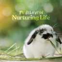 Small World Rabbit Food, Complete Feed, Pelleted Food for Rabbits, Fortified with Essential Vitamins & Minerals for Daily Health, High-Fiber Diet for Digestive Support, Resealable Bag, 10 lb