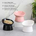 Raised Ceramic Cat Food Bowl - Elevated Base, Tilted, Anti Vomit - Whisker Friendly Shallow Wide Feeding Bowl - Microwave and Dishwasher Safe