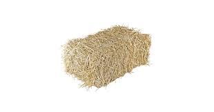 Straw Bale by Shady Creek Farm, Multi-Use for Farm & Home, Large Straw Bale