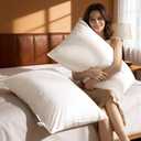 Goose Down Pillow - 800 Thread Count Cotton Shell, Soft Down Pillows for Sleeping, Hotel Collection Pillow for Side Sleeper (1 Pack,20"x24") (White)