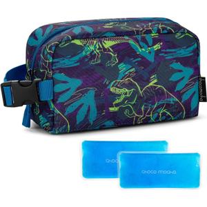 Choco Mocha Small insulated Snack Bag Kids Freezer Snack Bags Small Cooler Bag for Kids, School Insulated Lunch Bags, Dinosaur Blue (Boys)