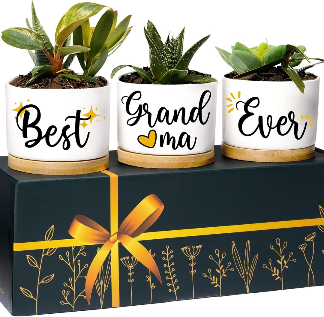 Best Grandma Ever Planters, Best Grandma Gifts from Granddaughter Grandson, Grandmother Gifts Grandma, Best Gifts for Grandma Gifts for Grandma Birthday Gifts, Gift for Grandma Gift Ideas for Grandma
