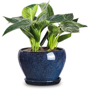 vicrays Ceramic Plant Pots Indoor - 6.5 Inch Planter Pot with Drainage Hole and Saucer for Succulent Orchid Flower Herbs Cactus - Ideal for Gardening Home Desktop Office Decor - Blue