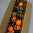 Woration 4PCS Artificial Orange Branches Simulation Tangerine Plastic Tree Plant Stem with Fruit Fake Greenery Home DIY Dcor Props 19.3inch
