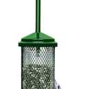 Squirrel Buster Mini Squirrel-Proof Bird Feeder for Wild Birds 4 Metal Perches, 1 lb Seed Capacity, Chew-Proof Design, Lifetime Care, Garden Green