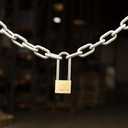 THIRARD Type-1 Brass Padlock  Heavy-Duty, Weatherproof Security Lock with Reinforced Pin Mechanism  Keyed Alike for Sheds, Lockers, Gates & More  Durable, Corrosion-Resistant, Single Pack (50mm, 1.97")