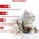 2 x PETGEEK Gigwi Simulated Chirping Bird Cat Toy, Fake Interactive Cat Toys for Indoor Cats, Feather Toy with Hanging Loop for Bored Indoor Adult Kittens Interactive Play (Bird Mouse Cricket)