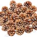 24PCS Christmas Natural Pine Cones,Rustic Pinecones with String for Crafts & Decorating Winter Xmax Holidays Vase and Table Bowl Fillers(Dia. 1.57-1.96 Inches) (White)