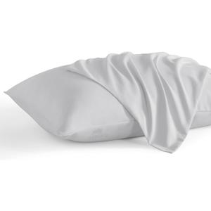 Pillowcase 16 x 22 Inch, Egyptian Cotton Set of 2 Pillowcase Zipper Closure 600 Thread Count Count - Travel 16x22 Zipper, Silver Solid